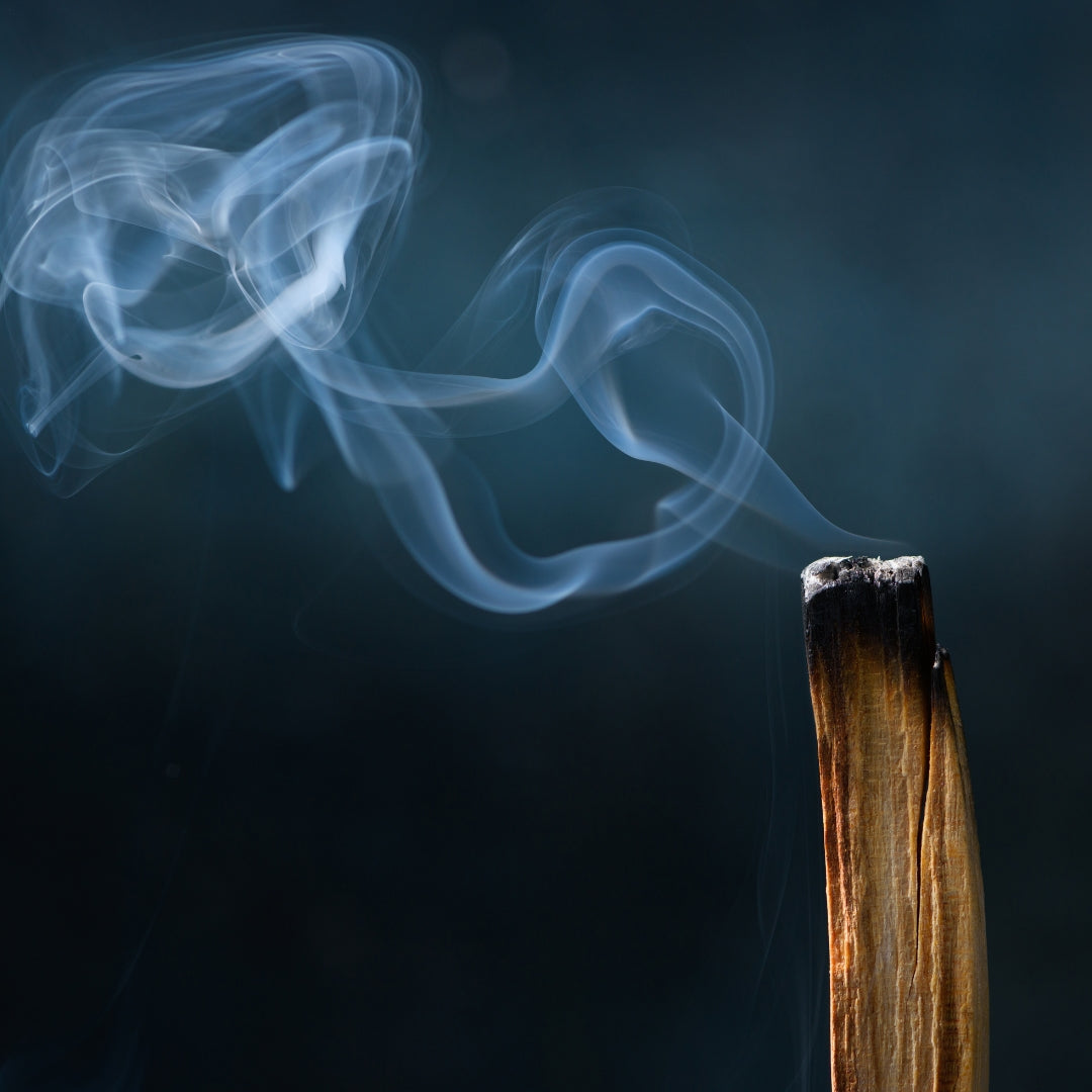 Palo Santo: The Holy Wood’s Journey